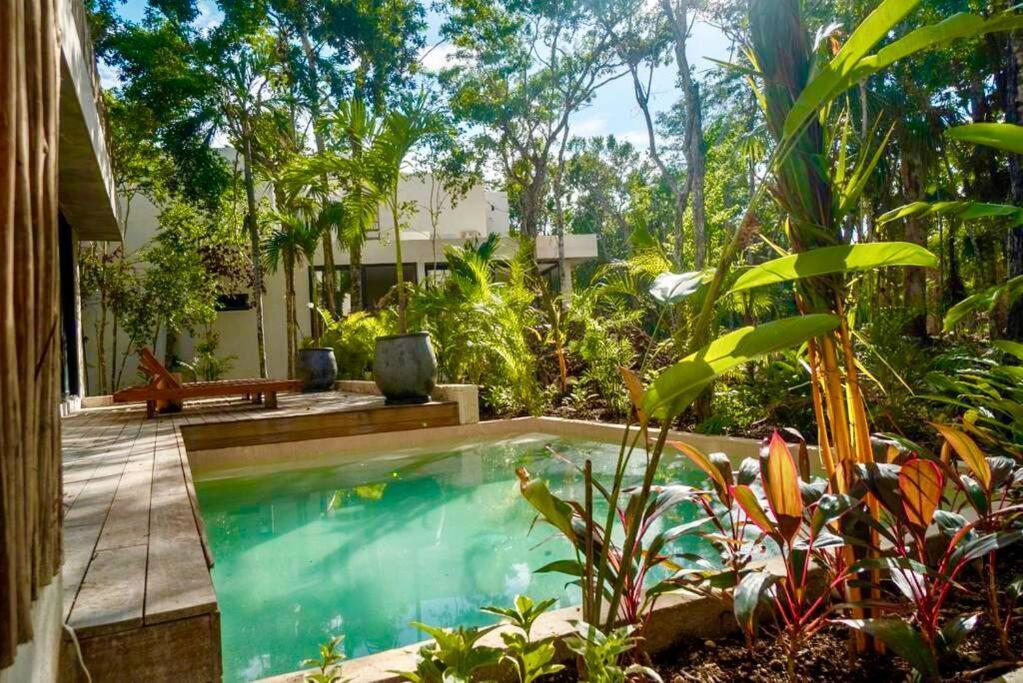 Villa Xuncari In The Heart Of The Jungle 图卢姆 外观 照片
