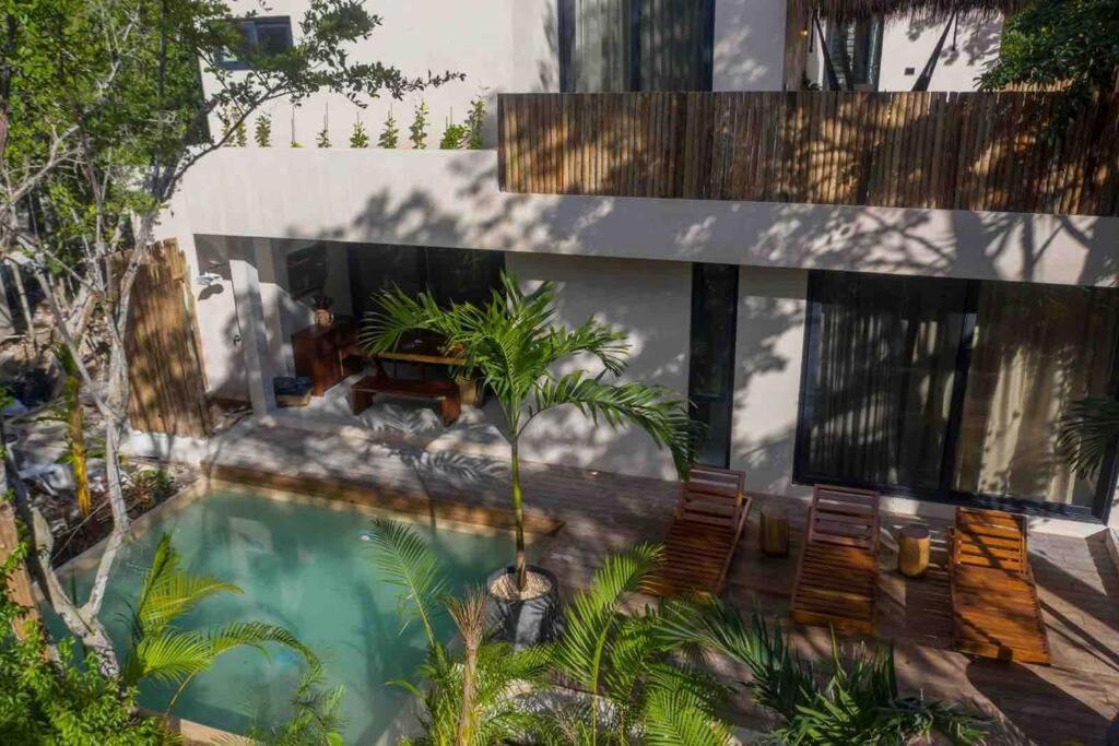Villa Xuncari In The Heart Of The Jungle 图卢姆 外观 照片
