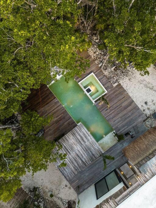 Villa Xuncari In The Heart Of The Jungle 图卢姆 外观 照片