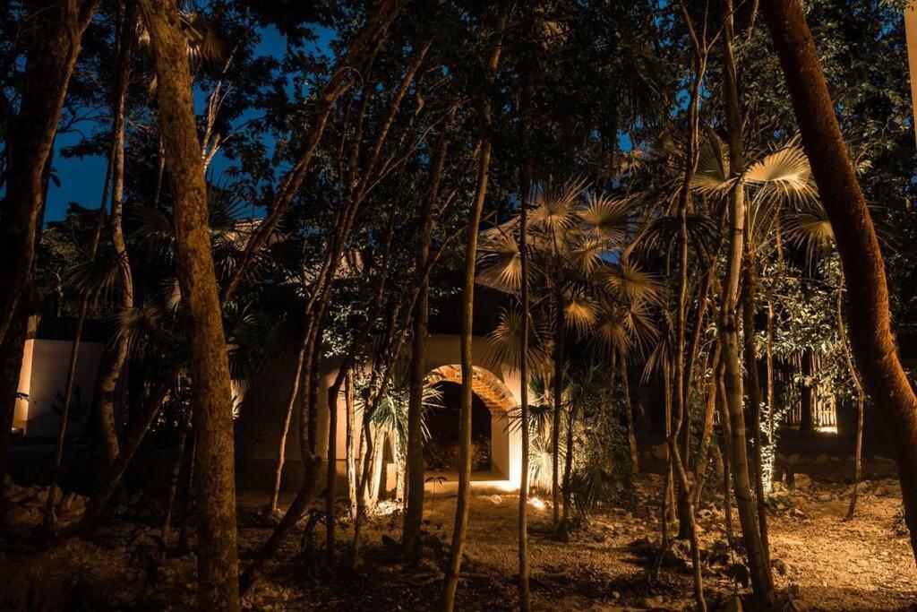 Villa Xuncari In The Heart Of The Jungle 图卢姆 外观 照片
