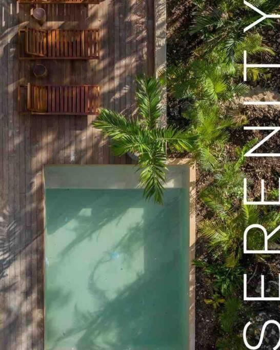 Villa Xuncari In The Heart Of The Jungle 图卢姆 外观 照片